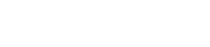 ドルフィンウェーブ DOLPHIN WAVE
